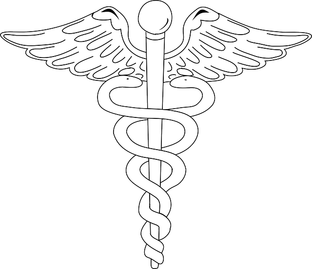 logo3 logo3