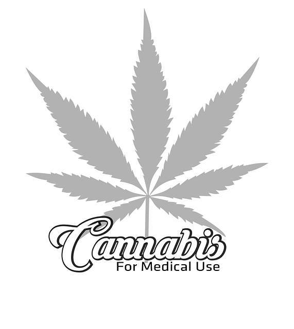 logo4 logo4