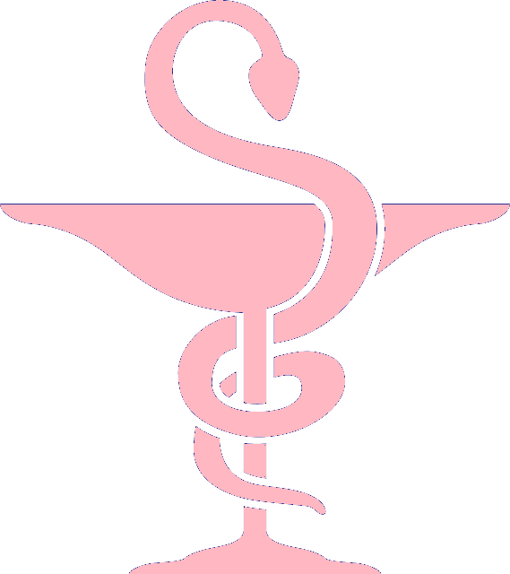 logo5 logo5